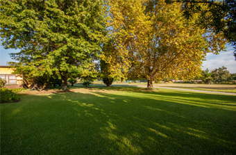 Front Garden